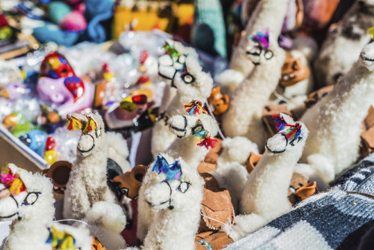 Wool llamas in Purmamarca, Jujuy, Argentina.