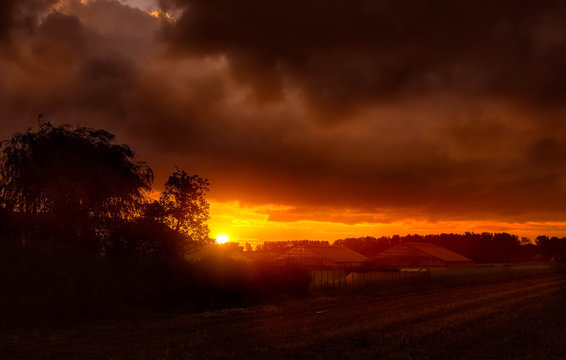 Orange sky