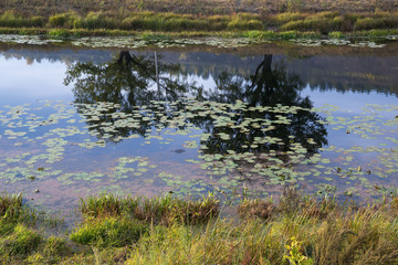 Pond in the countryside in autumn