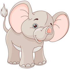 Baby Elephant