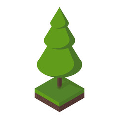 Fototapeta premium Isometric tree vector illustration.