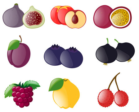 Different types of tropical fruits