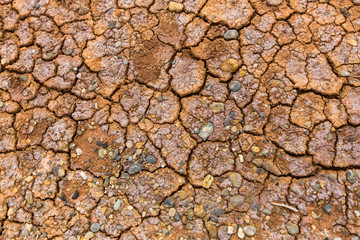 Texture of dry cracked soil loamy.