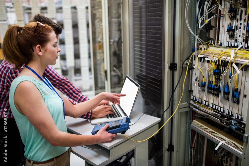 Poster Technicians using laptop while analyzing server