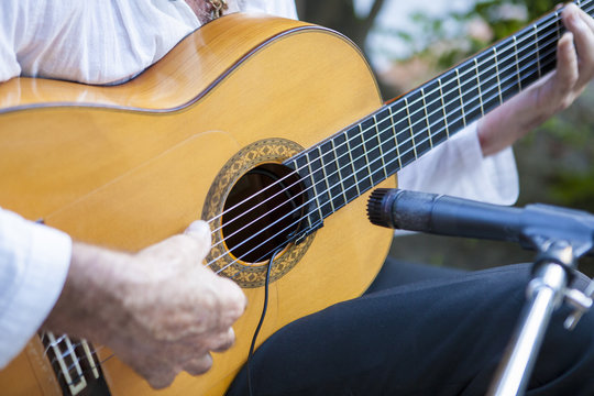 Spanish flamenco guitarist playing