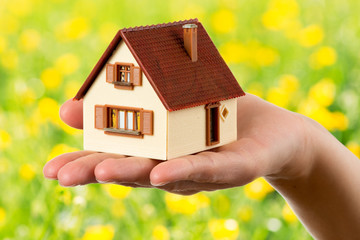 house in the hand, loan concept, yellow meadow background