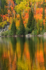 Fall Color on Bear Lake in Rocky Mountain National Park