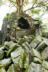 Fototapeta na wymiar Beng Mealea temple, ruins in the middle of jungle, Siem Reap, Cambodia