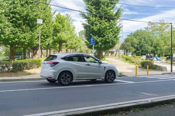 ドライブ 乗用車