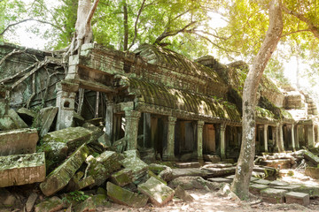 Prasat Ta Prohm Temple, siam reap, cambodia