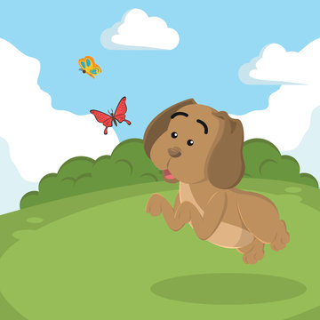 puppy chasing butterflies vector illustration design