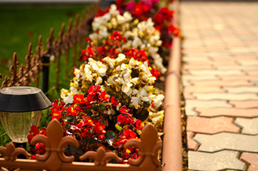 Fototapeta na wymiar Stone path in the garden flanked with colorful flowers, fall background