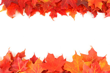 red autumn maple leaves frame isolated on white background