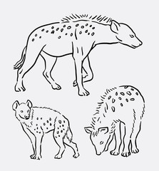 Hyena wild animal hand drawing. Good use for symbol, logo, web icon, mascot, sign, or any design you want.