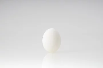 Fototapeten 卵 © bigpapa