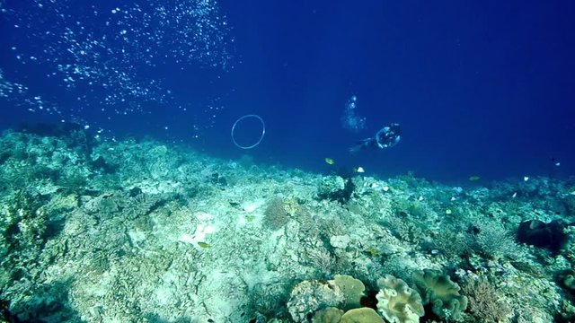 Diver in the Red Sea.