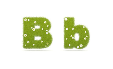 Natural green grass with camolines font. Letters B b
