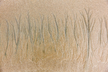 Fototapeta premium Texture formed by erosion