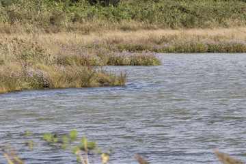 autumn on river