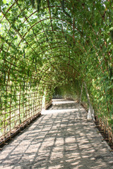 plant tunnel