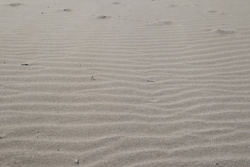 sand on the beach and strong wind