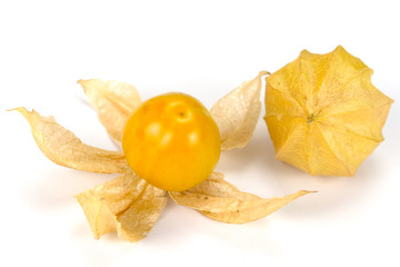 Physalis - Andenbeere - Kapstachelbeere 