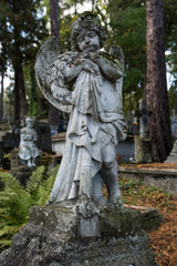 Fototapeta premium Cmentarz, Święto zmarłych - wszystkich świętych