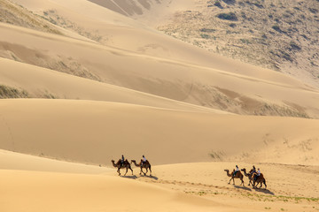 Tourists on camels in the dunes of the Gobi Desert, Mongolia