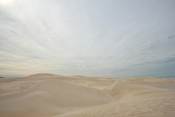 Coastal dunes in Australia