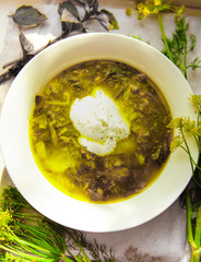 Delicious soup or green borch with spinach, served in white bowl