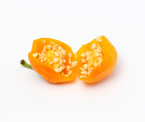 small chili bell paprika on white background