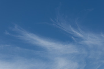 Fototapeta na wymiar the sky with air clouds