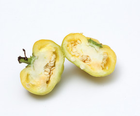 small chili bell paprika on white background