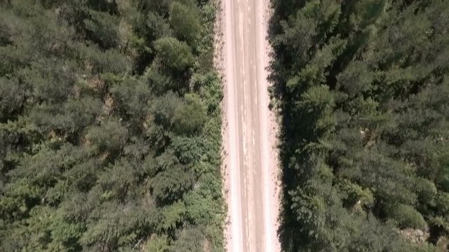 Drone video of a road in Sweden i a forest.