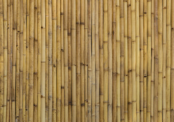 Bamboo background