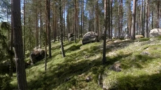 Flying with a drone in a forest in sweden