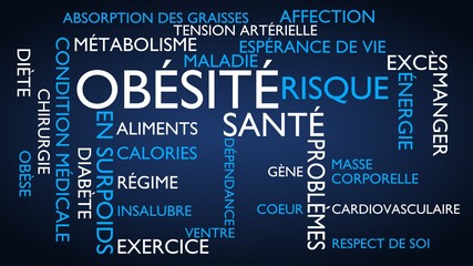 Obesity, health, medical, risk word tag cloud - blue, French variant, 3D rendering