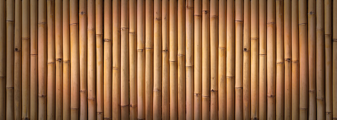 Bamboo fence © Brad Pict