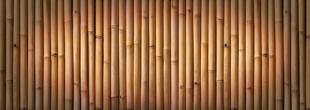 Bamboo fence