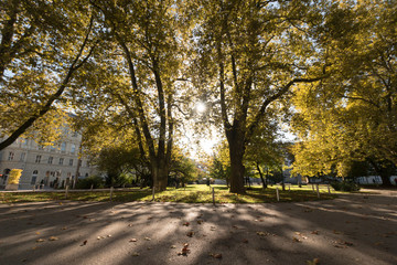 Park im Herbst: Bäume mit bunten Blättern und Gehweg