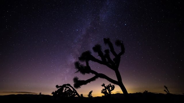 Joshua Trees and Milky Way Timelapse during Perseid Meteor Shower