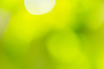 background of color bokeh