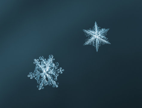 Light blue snowflakes