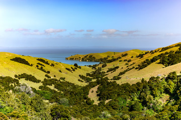 Obraz premium Coromandel peninsula near cathedral cove beach