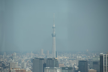 高台からの都市の展望コンクリートジャングル