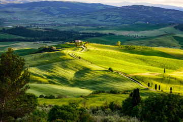 Gladiator Fields in Val d'Orcia Tuscany