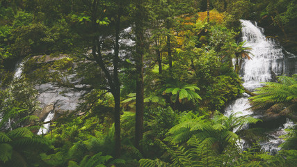 Triplet Falls in het regenwoud aan de Great Ocean Road in Australië