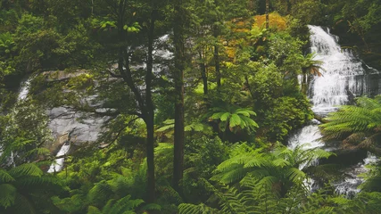 Fotobehang Jungle Triplet Falls in het regenwoud aan de Great Ocean Road in Australië