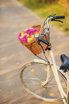Ladies bike with a bouquet of pink and yellow flowers in a basket with autumn trees behind.