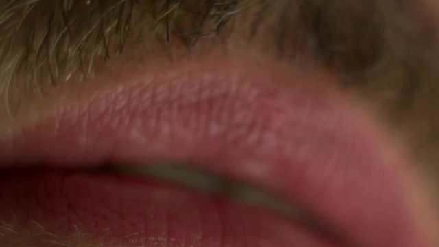 The Mouth of a Man with Moustache and Beard.
Extreme close up.